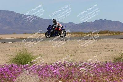 media/Mar-12-2023-SoCal Trackdays (Sun) [[d4c8249724]]/Turn 15 Inside Bloom (130pm)/